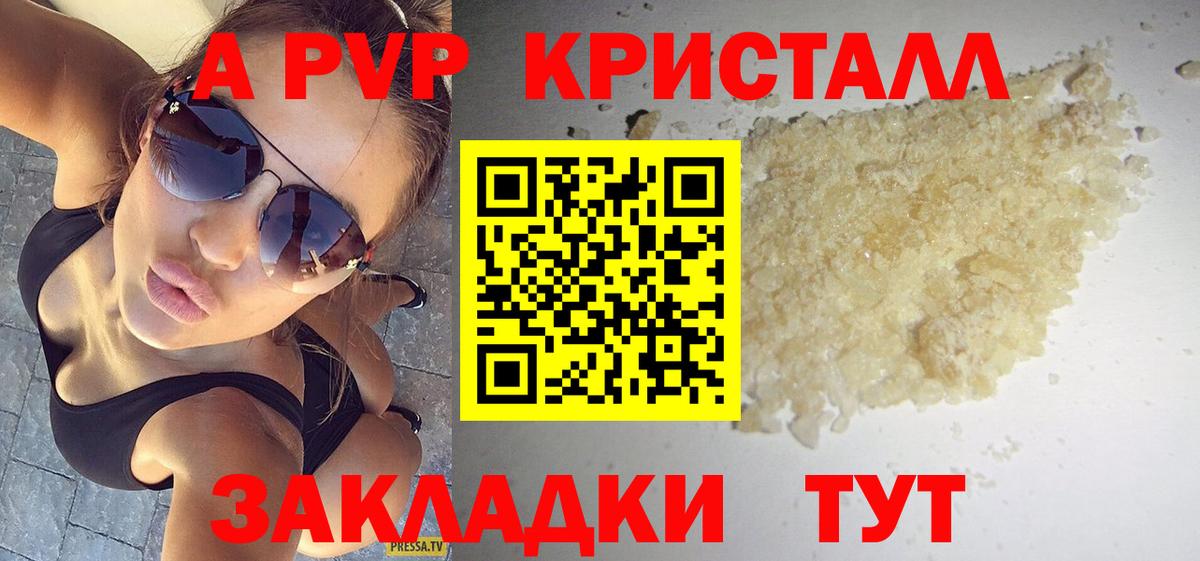 A PVP СК КРИС Тельмана