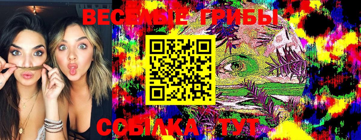 Галлюциногенные грибы GOLDEN TEACHER  Галлюциногенные грибы прущие грибы  Вход с VPN  Тельмана 